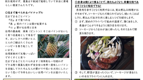 【NO.1209】台湾パイナップル ピュアハム 草地放牧ソーセージ