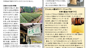 【NO.1204】伊勢路製茶-ウーロン茶