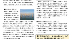 【NO.1201】岩瀬さんの海苔