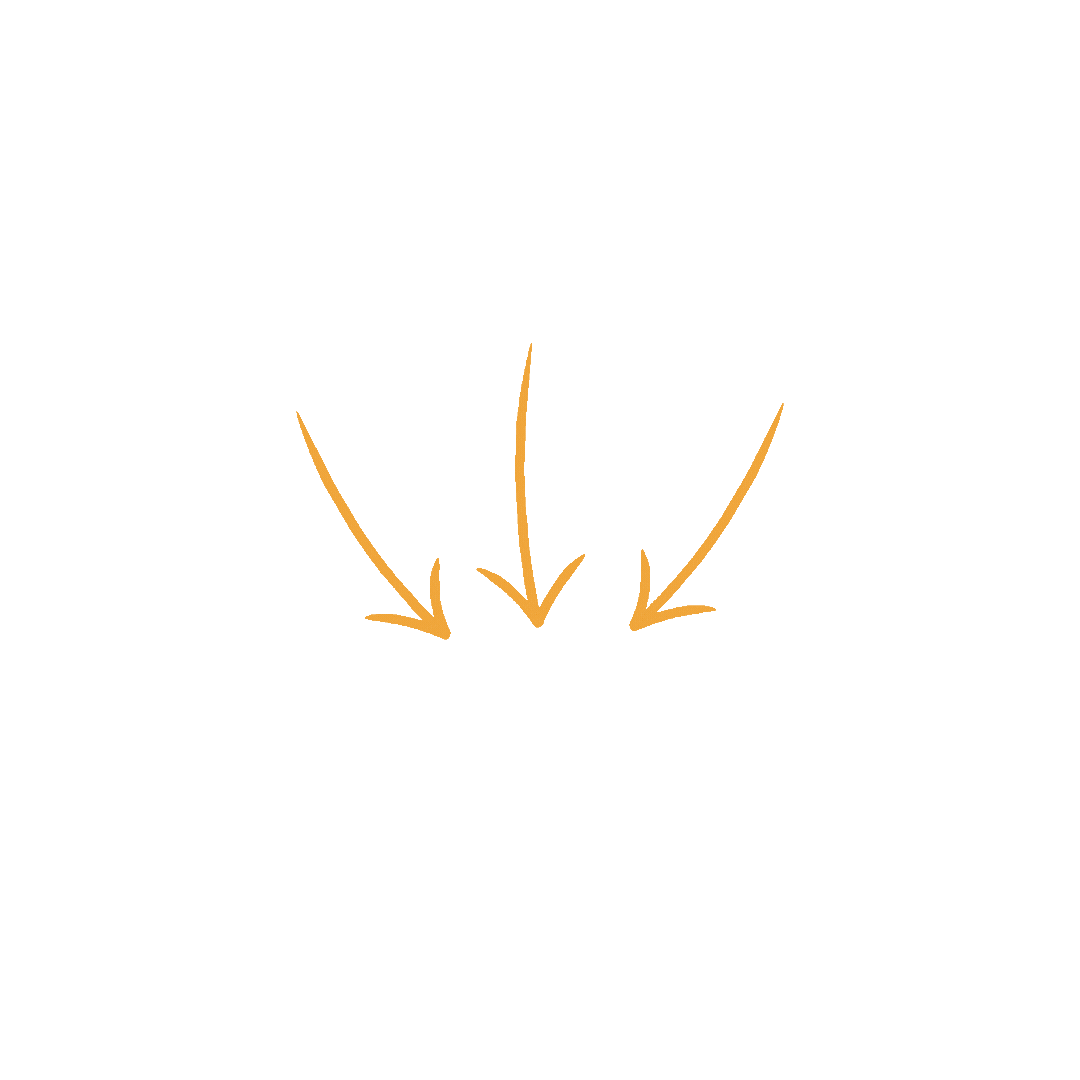¥ (1).gif