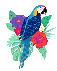 toucan-2022051116184505.png