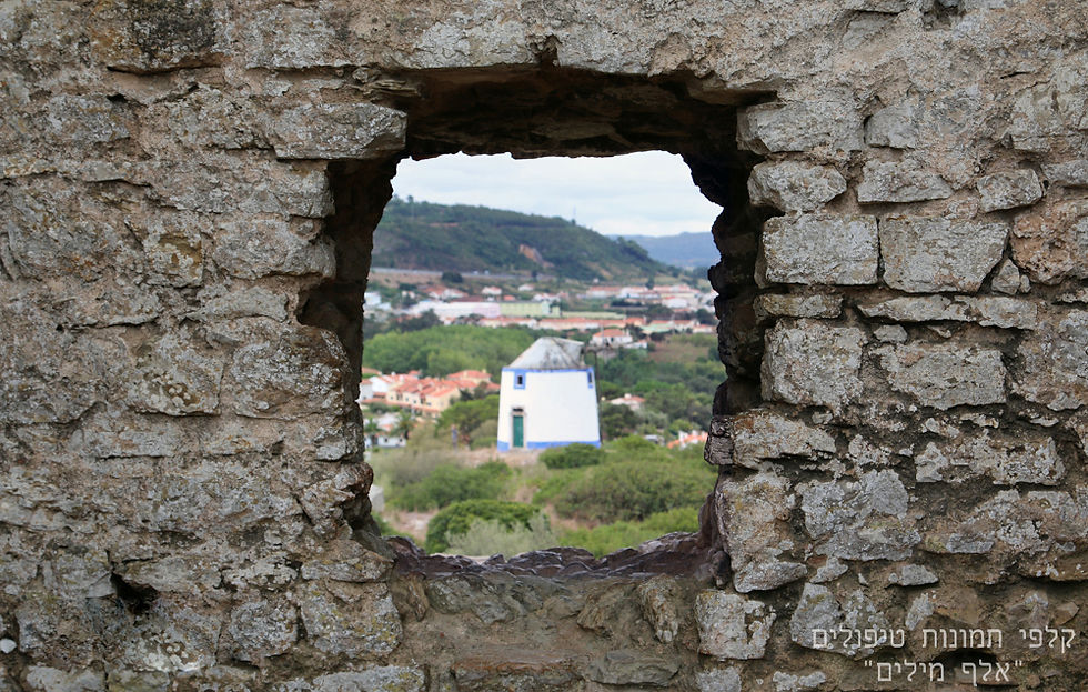 תמונה ממוזערת: קלפי אלף מילים