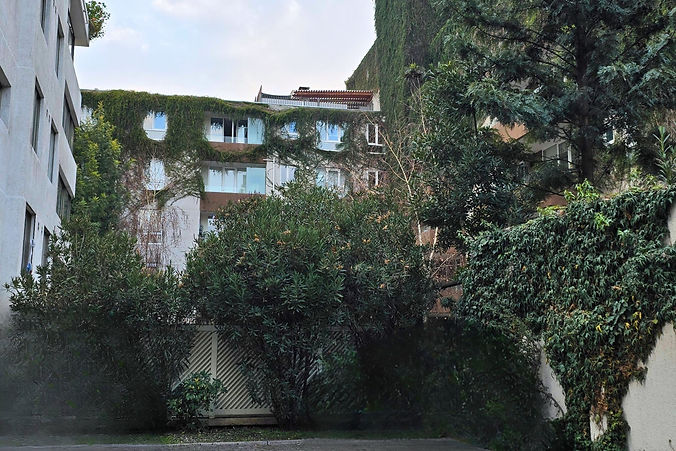 Fotos web junta de vecinos.jpg