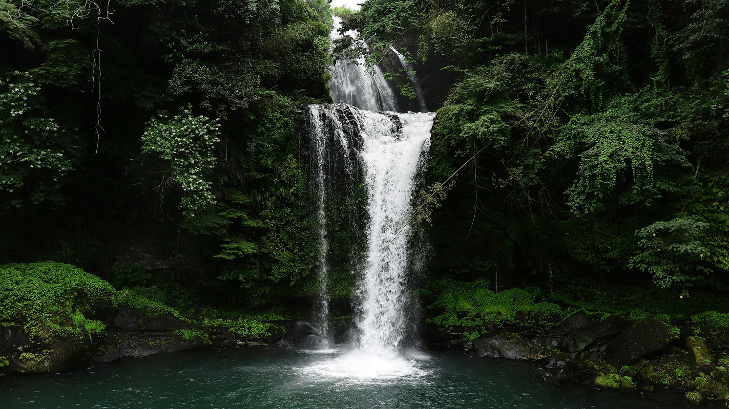 slnc-QaQGXOrnWa8-unsplash_edited.jpg