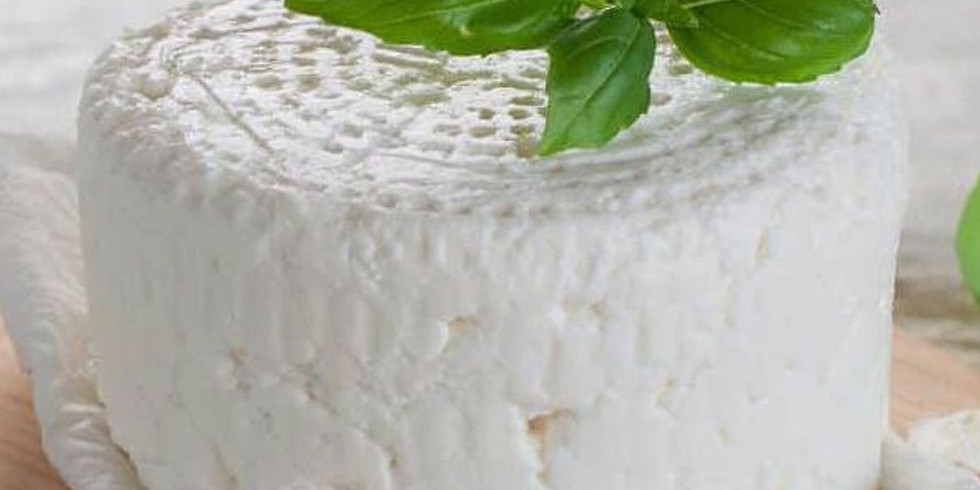 World Cheese Making Night