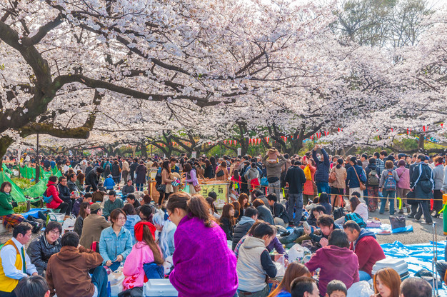 Hanami La Fête Qui Célèbre Le Printemps Dans La Poésie