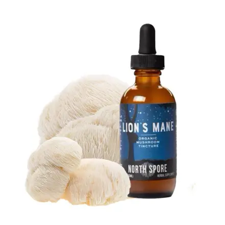 Thumbnail: Tincture - Organic Lion's Mane Mushroom 2oz(60ml)