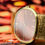 Thumbnail: Patek Philippe Ellipse
