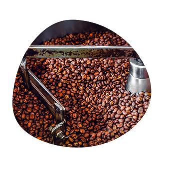 torréfaction artisanale