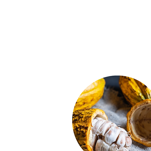 box café chocolat gourmande