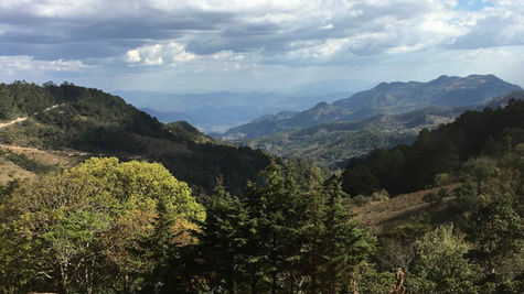 Café du Honduras