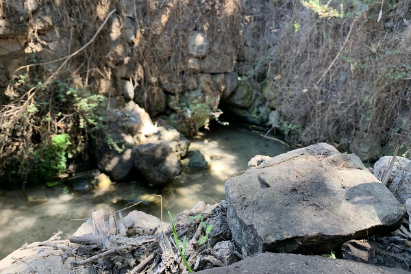 Part of the pool at Ein Sapir