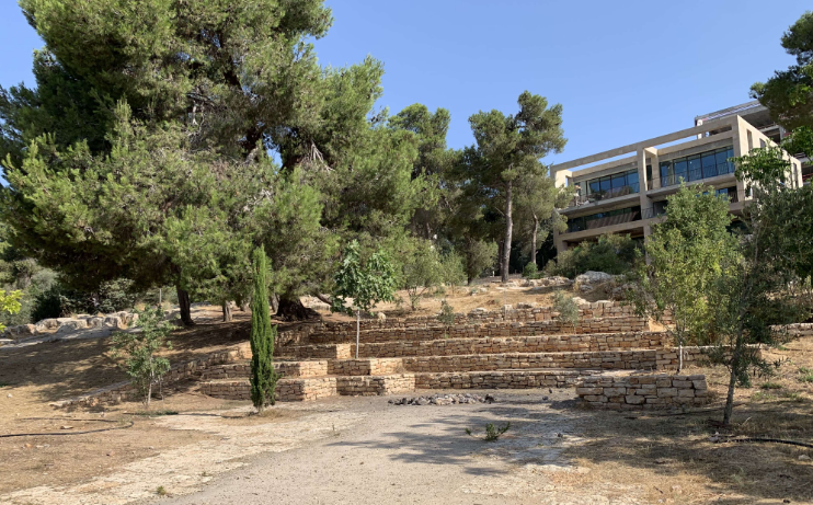A path with stone stairs at Moon Grove (Hurshat HaYareah)
