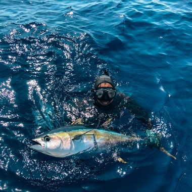 spearfishing-yellowfin-tuna-in-playa-garza-nosara-costa-rica-viberts-secret-spot