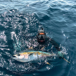 spearfishing-yellowfin-tuna-in-playa-garza-nosara-costa-rica-viberts-secret-spot-08