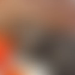 保護主さんのお家の子になりました　C-2752S