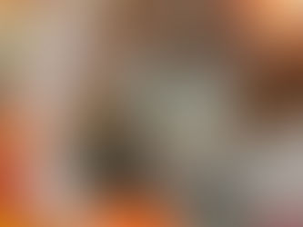 斗(はるか)ちゃん♀新しい家族募集中 C-2770N