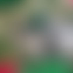 新しい家族が決まりました C-2772K