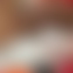 新しい家族が決まりました　C-2769N