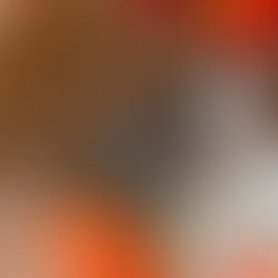 カイちゃん♂新しい家族募集中　C-2745K