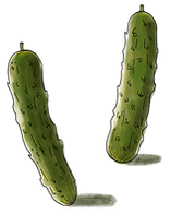 Augurk