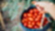 EasyBeeFarm_0522.jpg