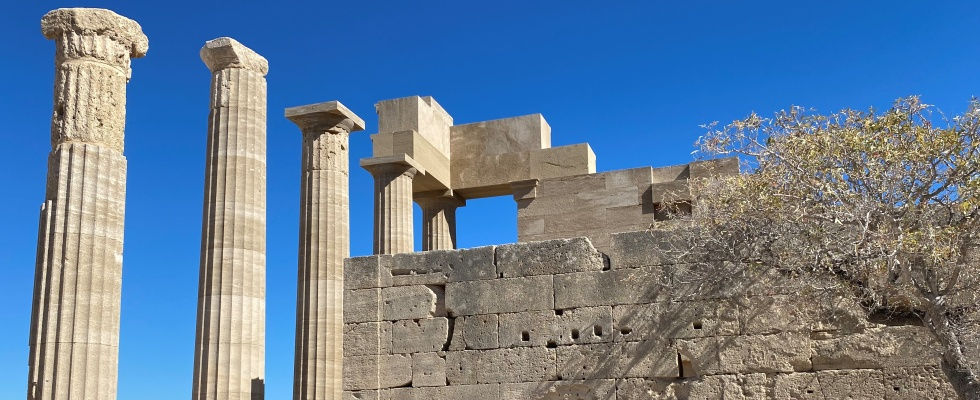 Forside Rejser cover 980x400.JPEG