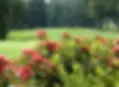 course-pic10_08-14-2025A-1024x754.webp