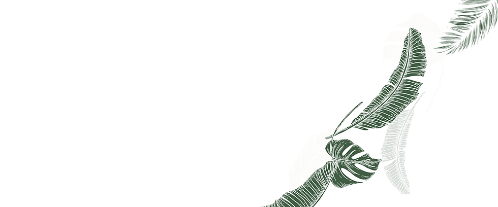 bgcta.png