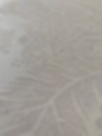 Thumbnail: LAUDABLE CAROLYN