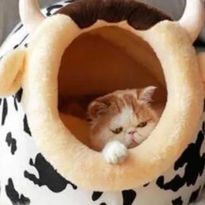 Cat Bed Cow Print Plush 