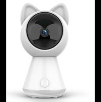 CCTV Camera