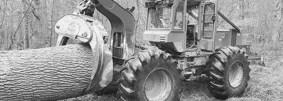 tracteur forestier