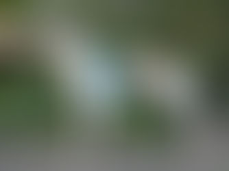 Internationales Coursing Volkmarsen