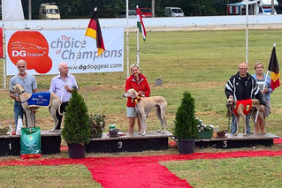 FCI Europameisterschaft