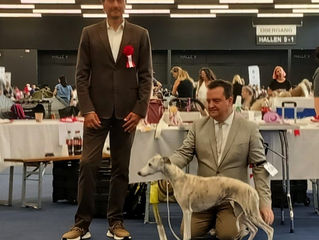 Alpensieger Ausstellung Salzburg