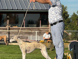 Herbstsieger Ausstellung Krenglbach
