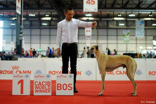 Dahab WORLD WINNER 2015