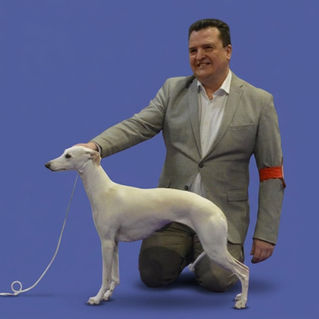 CAC Ausstellung Hückelhoven