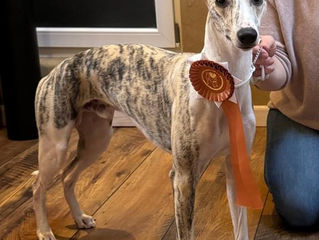 CAC Ausstellung Köln Flittard