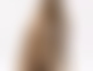 CAC Ausstellung Ostercappeln