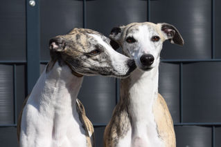 Wir hoffen auf Nachwuchs