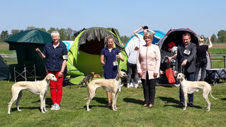 Ausstellung Ostercappeln