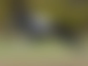 Leistungscoursing Volkmarsen