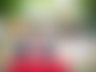 【2025年版】三重県松阪市 七五三/753 おすすめガイド