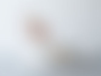 new プラン　ミニプラン