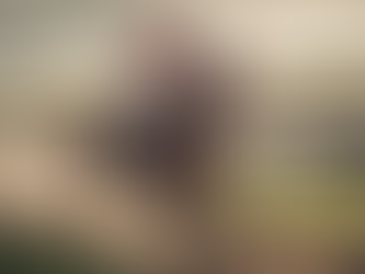 The Pointing Pointers Blog