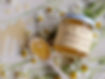 Abeille-test_grande.jpg