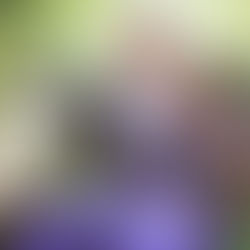 Prom Dress Alterations & Cleaning in Central Indiana