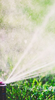 Cooler Months Watering Guide